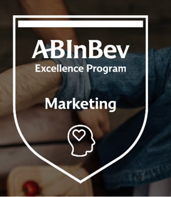 Implementing marketing capabilities program in AbInbev across the zone.